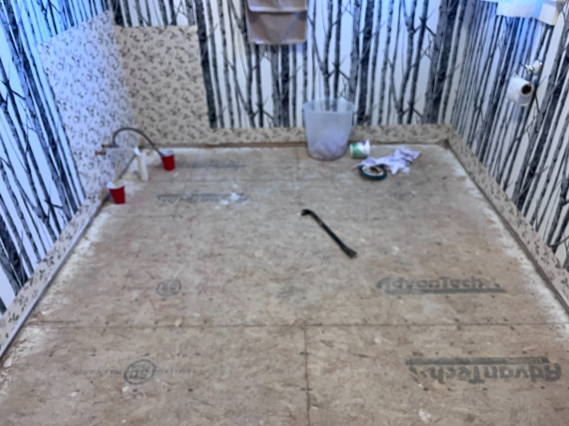 Bathroom during renovation and subfloor demo